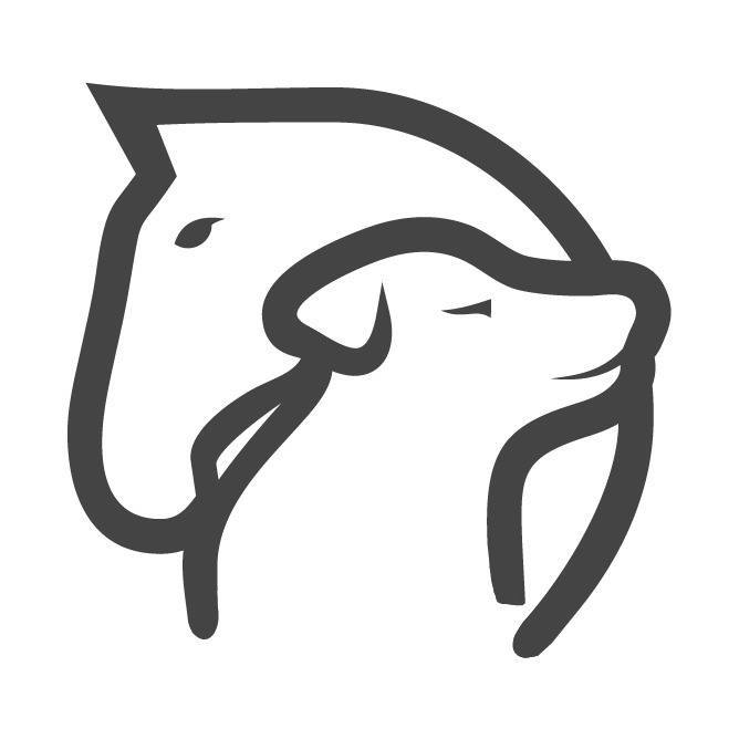 London College of Animal Osteopathy  logo
